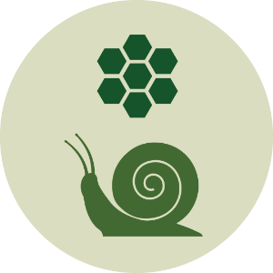 Invertebrates, nectar