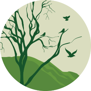 Hill-Lowland Forest