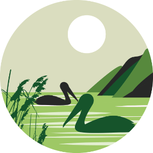 Swamp, marshes & lake